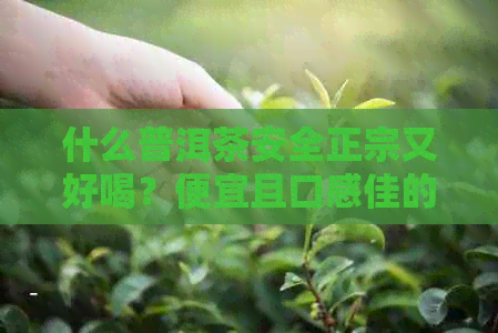 什么普洱茶安全正宗又好喝？便宜且口感佳的推荐