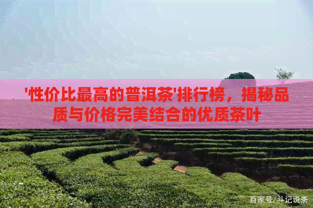 '性价比更高的普洱茶'排行榜，揭秘品质与价格完美结合的优质茶叶