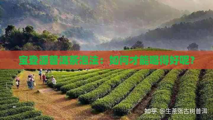 宝登源普洱茶泡法：如何才能喝得好呢？