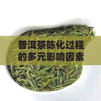 普洱茶陈化过程的多元影响因素及其对茶叶品质的影响