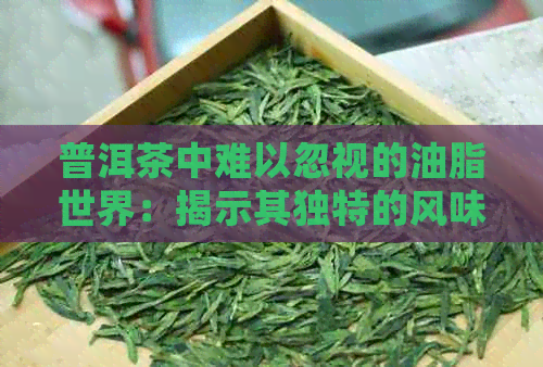 普洱茶中难以忽视的油脂世界：揭示其独特的风味和健益处