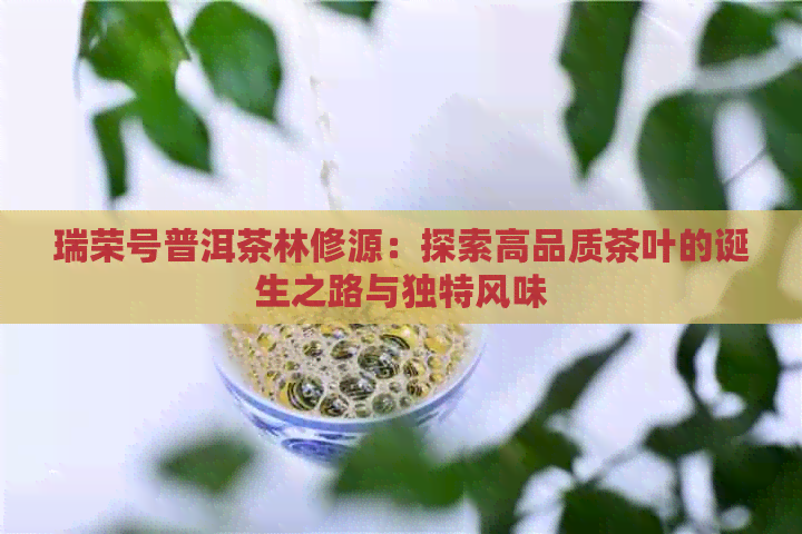 瑞荣号普洱茶林修源：探索高品质茶叶的诞生之路与独特风味