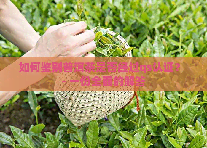 如何鉴别普洱茶是否经过qs认证？ - 一份全面的解答