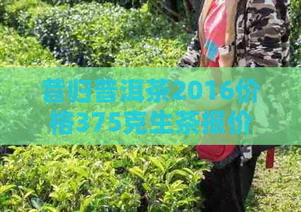 昔归普洱茶2016价格375克生茶报价