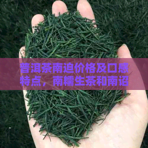 普洱茶南迫价格及口感特点，南糯生茶和南诏普洱茶详解