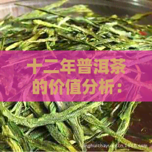 十二年普洱茶的价值分析：品鉴、收藏与投资全方位指南