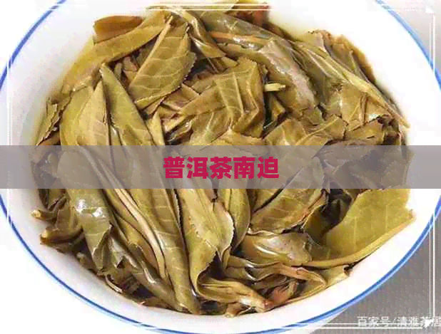 普洱茶南迫