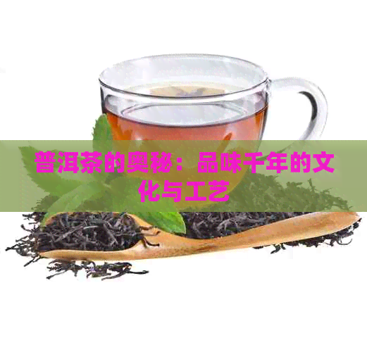 普洱茶的奥秘：品味千年的文化与工艺