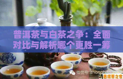 普洱茶与白茶之争：全面对比与解析哪个更胜一筹？