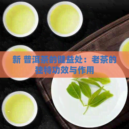 新 普洱茶的健益处：老茶的独特功效与作用