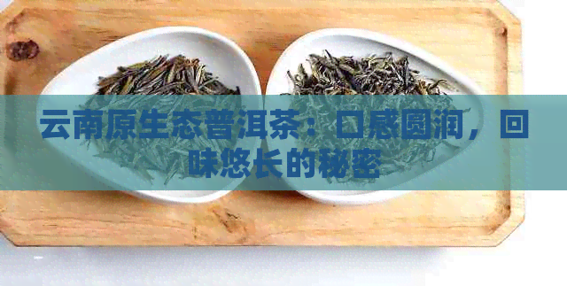 云南原生态普洱茶：口感圆润，回味悠长的秘密