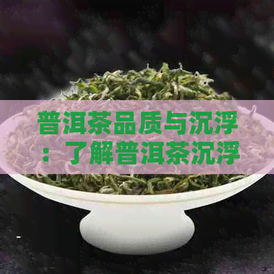 普洱茶品质与沉浮：了解普洱茶沉浮背后的科学原理与品饮技巧