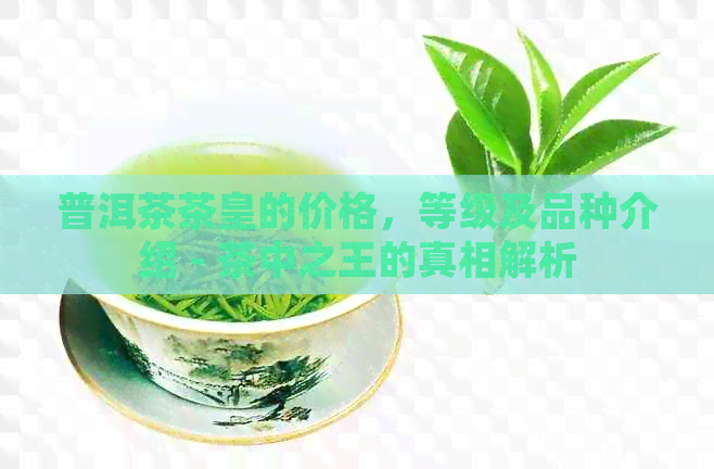 普洱茶茶皇的价格，等级及品种介绍 - 茶中之王的真相解析