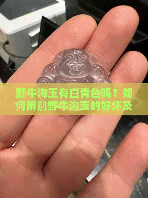 野牛沟玉有白青色吗？如何辨别野牛沟玉的好坏及是否适合佩戴？