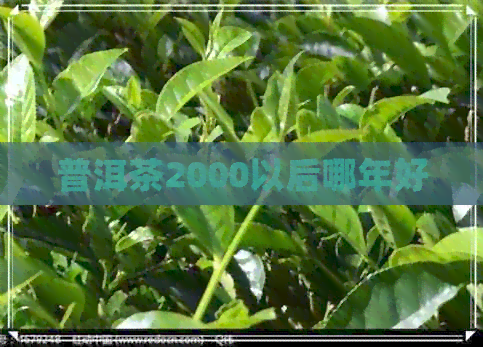 普洱茶2000以后哪年好