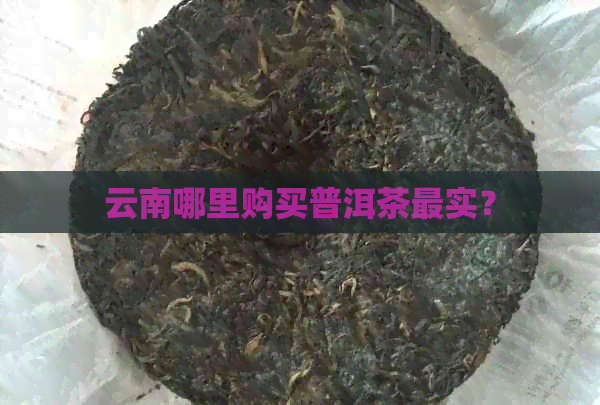 云南哪里购买普洱茶最实？