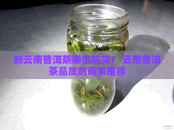 新云南普洱茶哪里购买？ 云南普洱茶品质的商家推荐