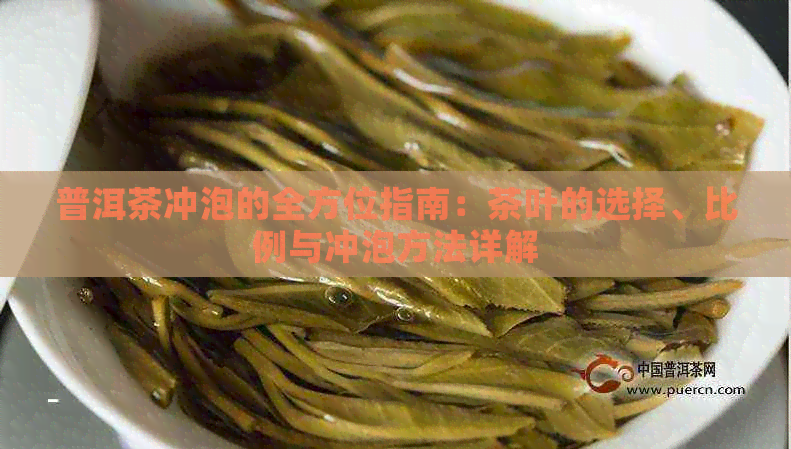 普洱茶冲泡的全方位指南：茶叶的选择、比例与冲泡方法详解