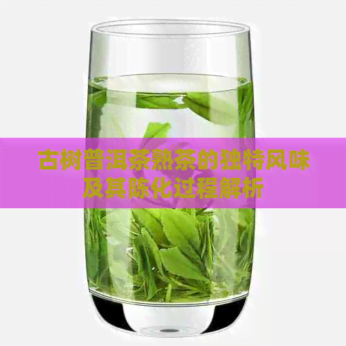 古树普洱茶熟茶的独特风味及其陈化过程解析