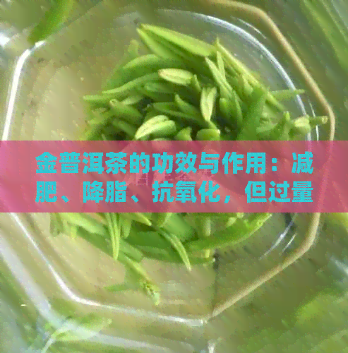 金普洱茶的功效与作用：减肥、降脂、抗氧化，但过量饮用可能导致消化不适。