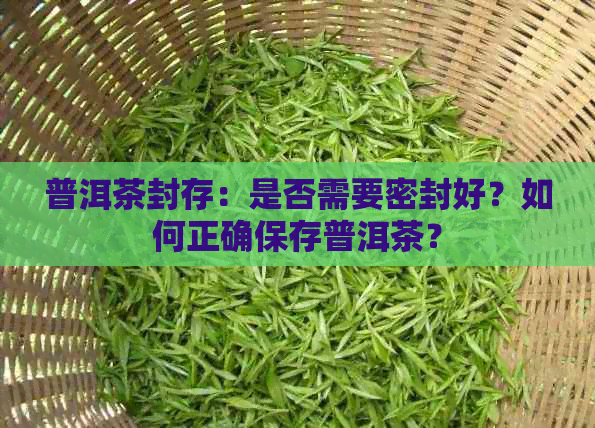 普洱茶封存：是否需要密封好？如何正确保存普洱茶？