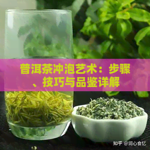 普洱茶冲泡艺术：步骤、技巧与品鉴详解