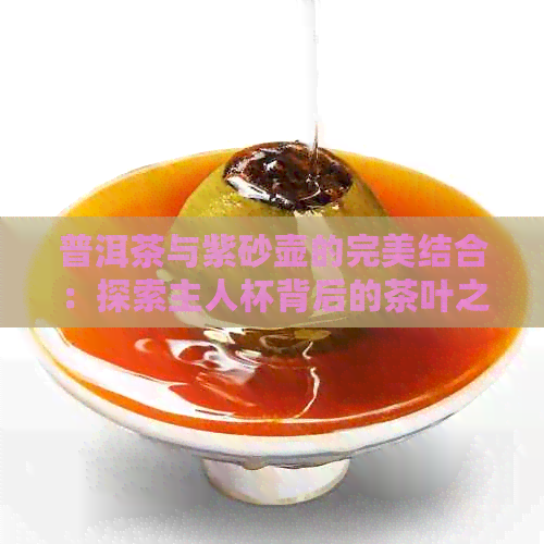 普洱茶与紫砂壶的完美结合：探索主人杯背后的茶叶之谜