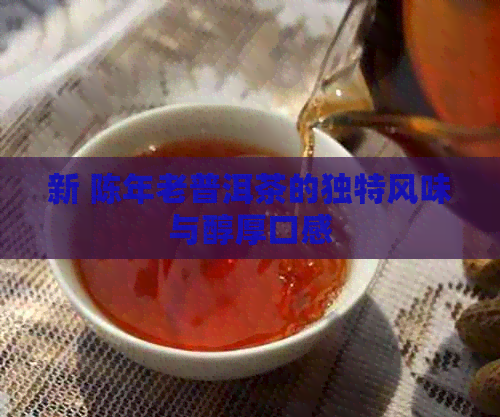 新 陈年老普洱茶的独特风味与醇厚口感