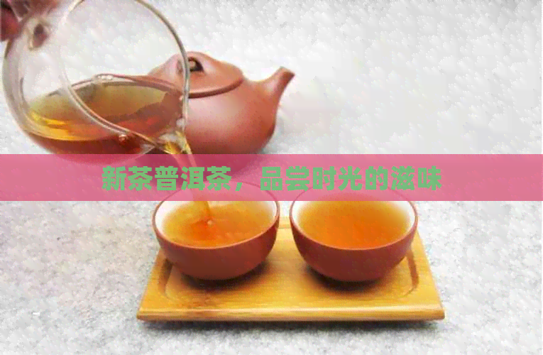 新茶普洱茶，品尝时光的滋味