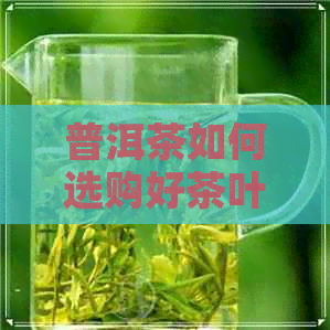 普洱茶如何选购好茶叶