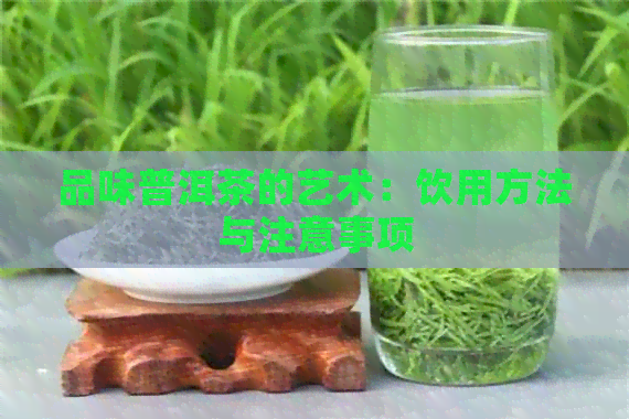 品味普洱茶的艺术：饮用方法与注意事项