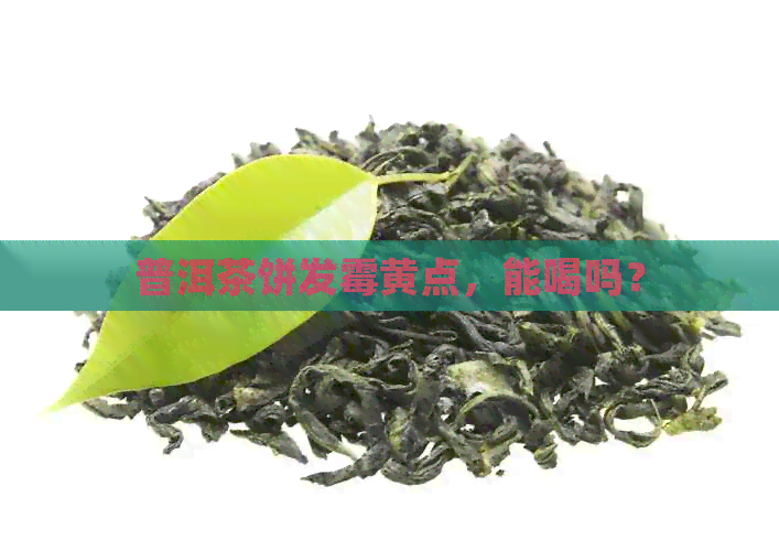 普洱茶饼发霉黄点，能喝吗？