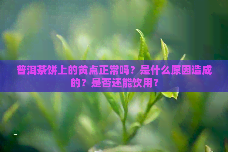 普洱茶饼上的黄点正常吗？是什么原因造成的？是否还能饮用？