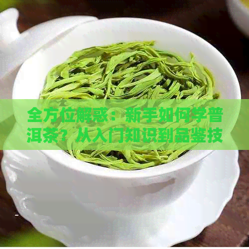 全方位解惑：新手如何学普洱茶？从入门知识到品鉴技巧一网打尽！