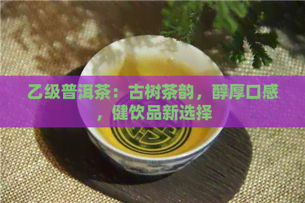 乙级普洱茶：古树茶韵，醇厚口感，健饮品新选择