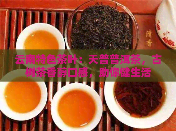 云南特色茶叶：天普普洱茶，古树茶香醇口感，助你健生活