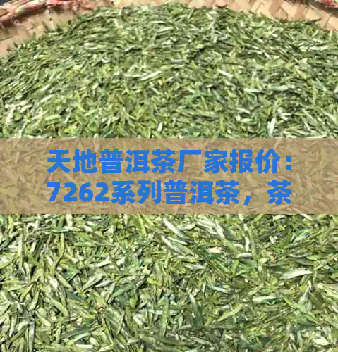 天地普洱茶厂家报价：7262系列普洱茶，茶叶特色品种