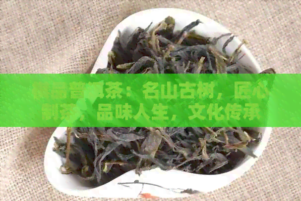 祺品普洱茶：名山古树，匠心制茶，品味人生，文化传承