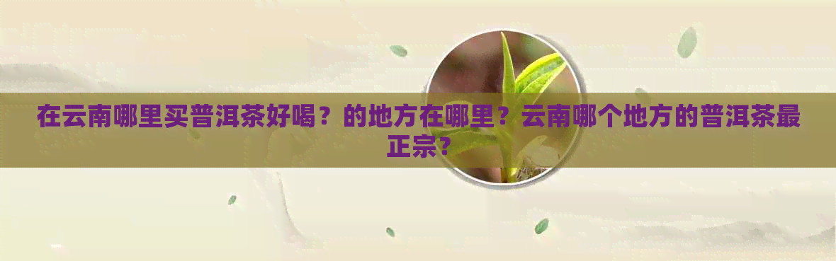 在云南哪里买普洱茶好喝？的地方在哪里？云南哪个地方的普洱茶最正宗？