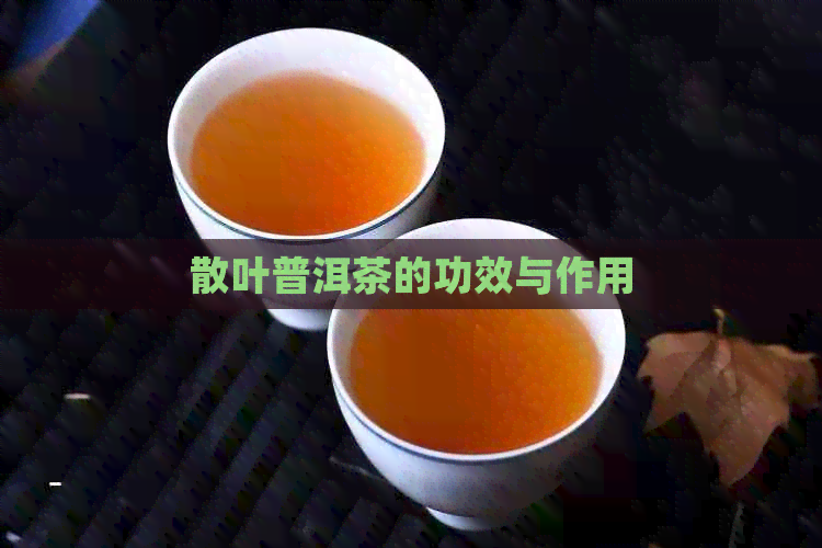 散叶普洱茶的功效与作用