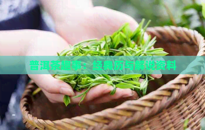 普洱茶趣事：经典历与解说资料