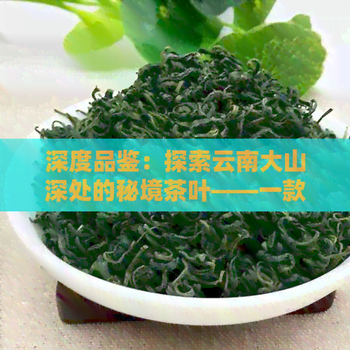 深度品鉴：探索云南大山深处的秘境茶叶——一款独特醇厚的普洱茶推荐