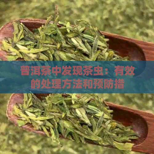 普洱茶中发现茶虫：有效的处理方法和预防措