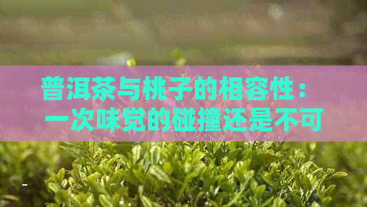 普洱茶与桃子的相容性： 一次味觉的碰撞还是不可融合的美食？