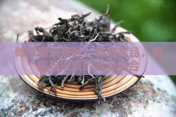 陈年普洱茶叶：藏家珍品，品鉴与投资的完美结合