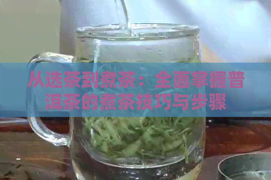 从选茶到煮茶：全面掌握普洱茶的煮茶技巧与步骤