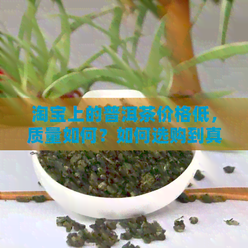 淘宝上的普洱茶价格低，质量如何？如何选购到真正的好茶？