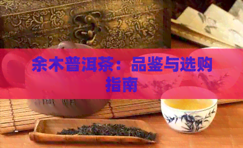 余木普洱茶：品鉴与选购指南