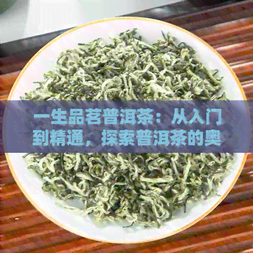 一生品茗普洱茶：从入门到精通，探索普洱茶的奥秘与魅力