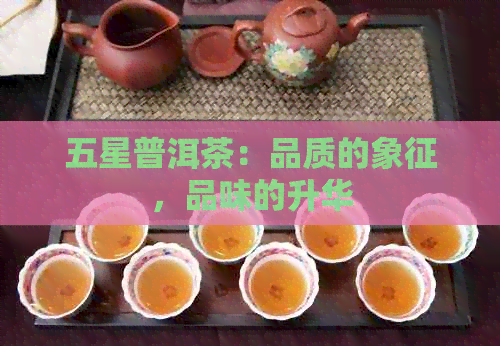 五星普洱茶：品质的象征，品味的升华